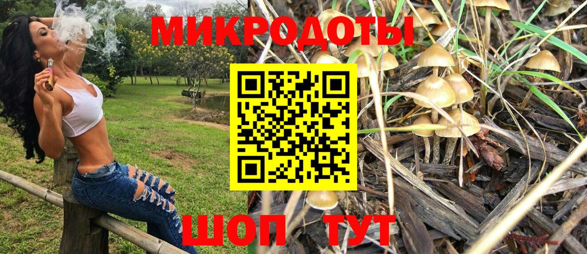 Коммунар  Галлюциногенные грибы прущие грибы  Вход с VPN 